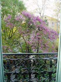 photo coins arrondis